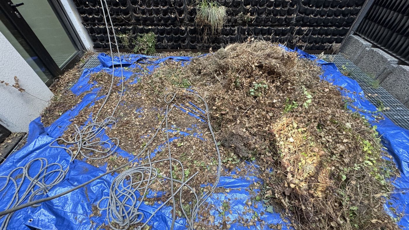 Dead planting and old irrigation line removed from a living wall